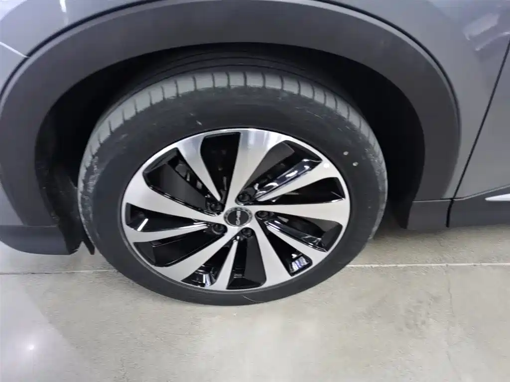BYD Song PLUS PHEV 2023 Champion Edition DM-i 110KM Flagship фото 23