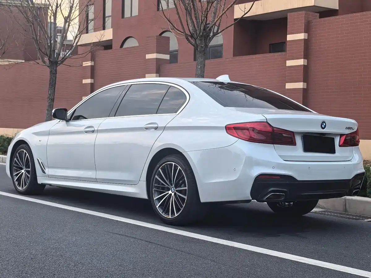 BMW 5 Series 2020 530Li Leading M Sport Package фото 19
