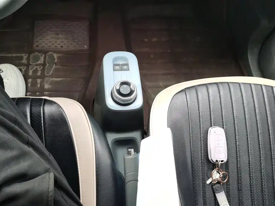 Geely Galaxy Panda 2023 Panda Mini 200km Endurance Bear фото 16
