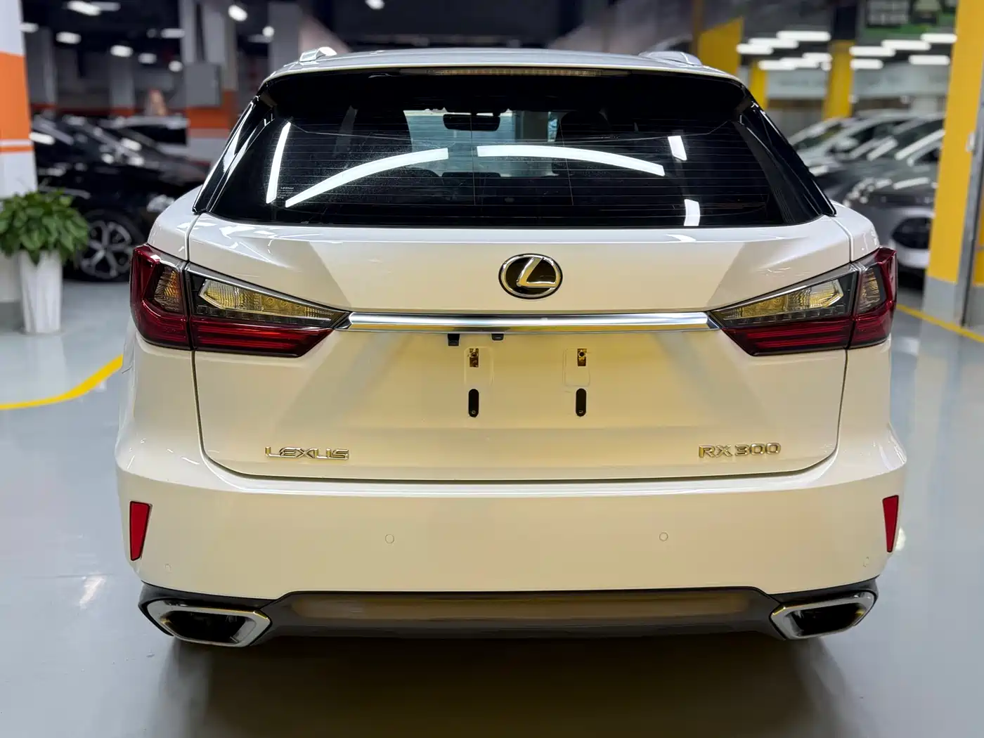 Lexus RX 2016 300 2WD Elite Edition (China V) фото 6