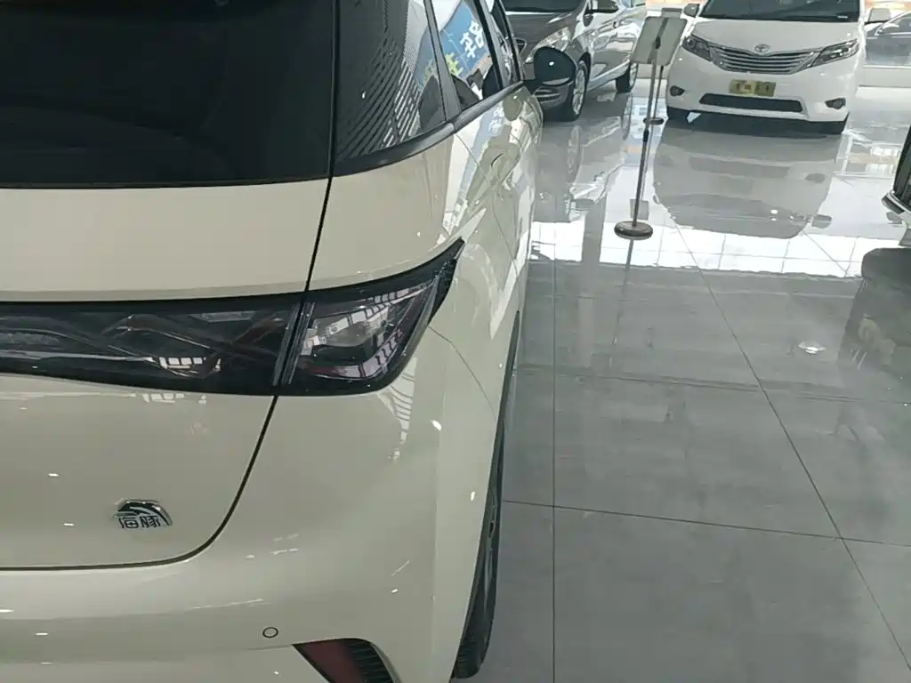 Фото 8 - BYD Dolphin