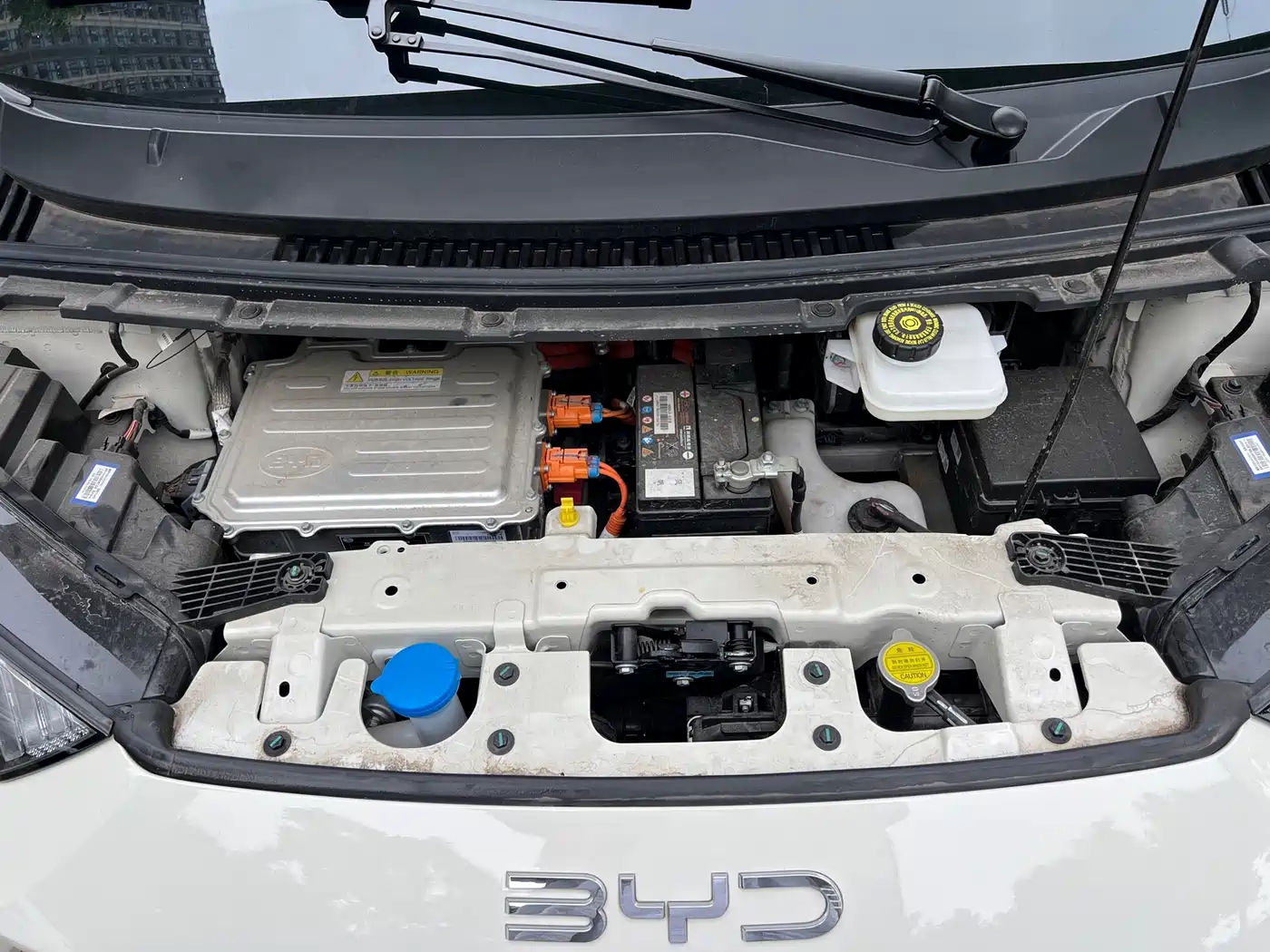 BYD Seagull 2024 Glory Edition 305km Vitality Edition фото 5