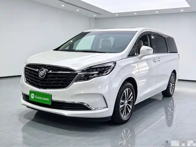 Buick Buick GL8 2020 Model ES Landglory 653T Premium