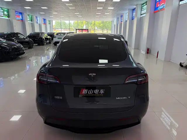 Tesla Model Y 2022 Facelift Long Range All-Wheel Drive Version — фото 5