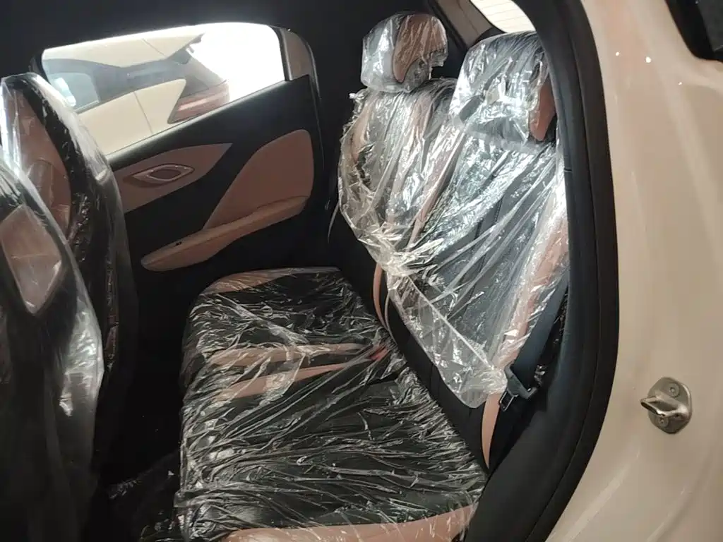 BYD Seagull 2026 2025 Smart Drive Edition 305km Vitality Version