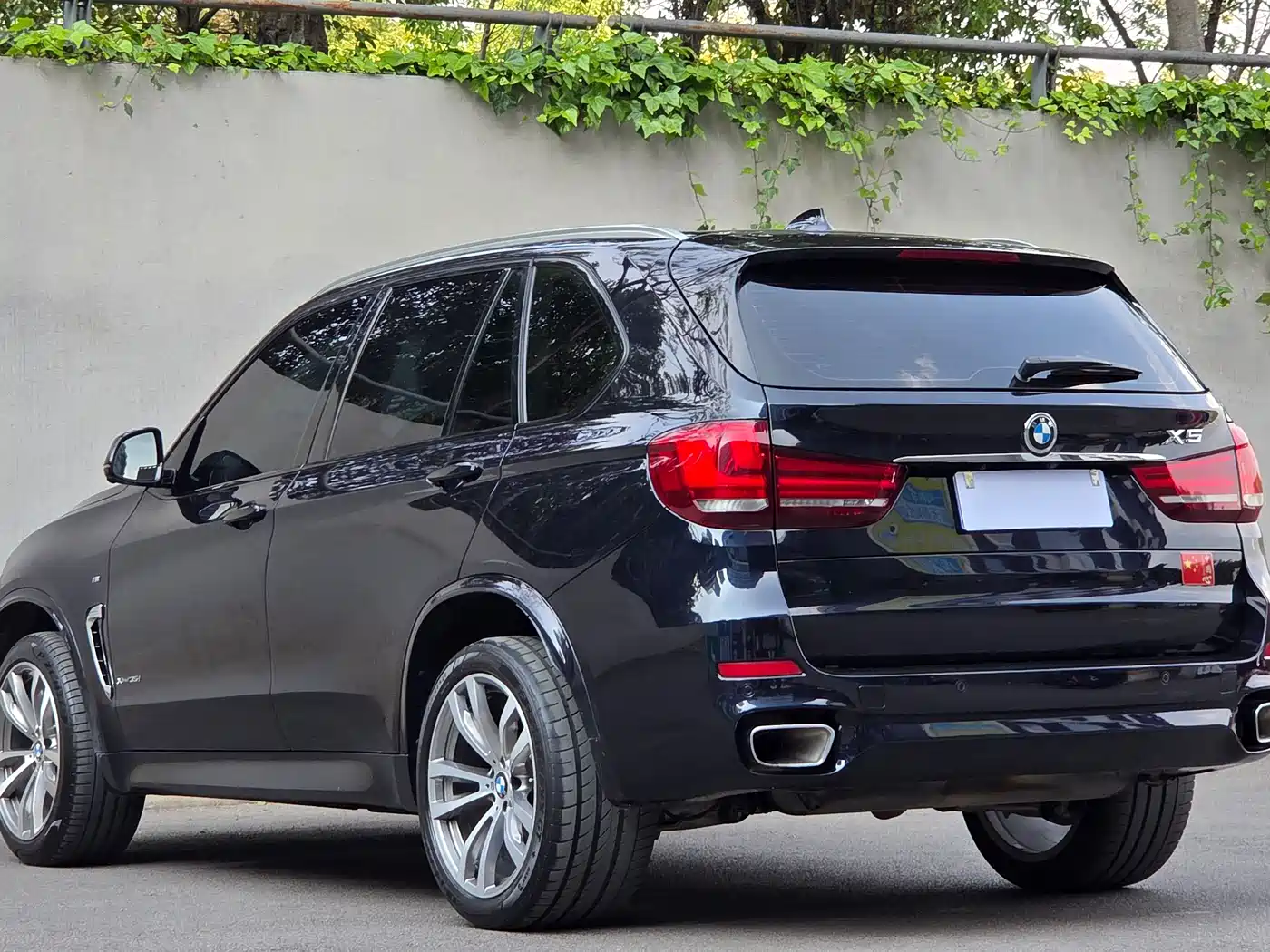 BMW X5 (Import) 2017 xDrive35i M Luxury Sport фото 9