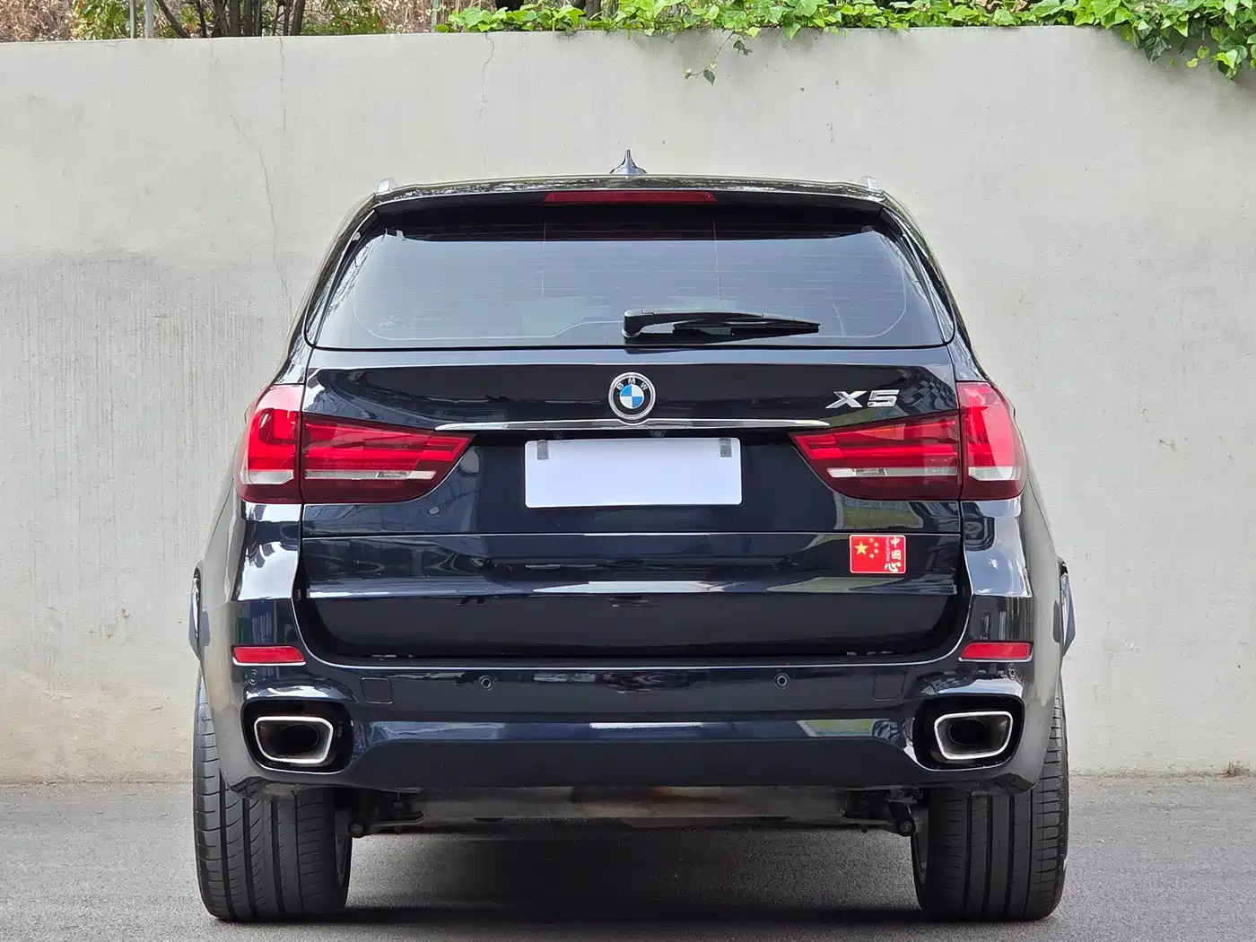 BMW X5 (Import) 2017 xDrive35i M Luxury Sport фото 8