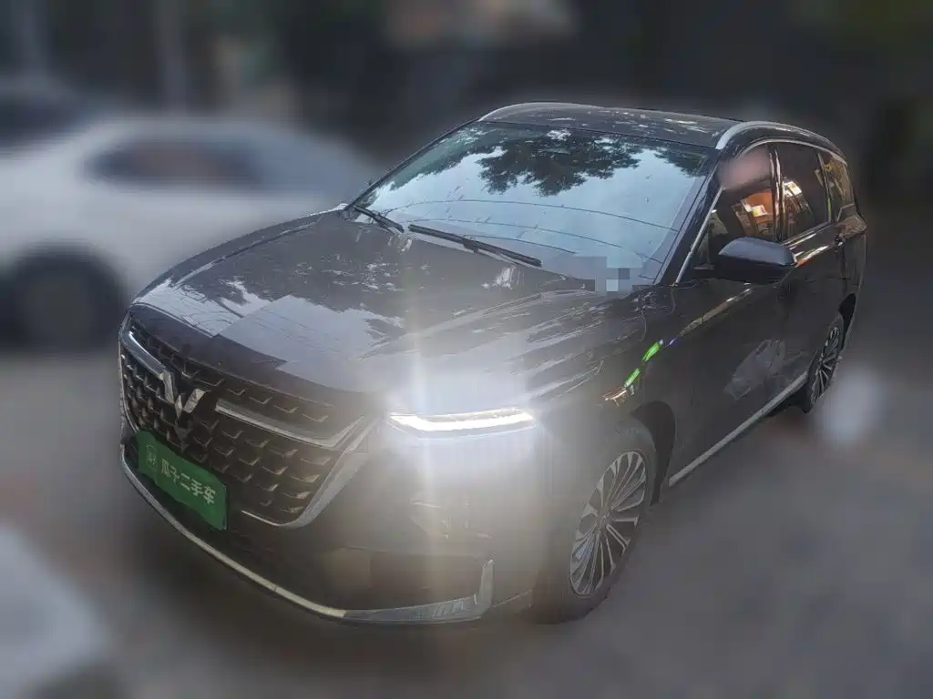 2024 Wuling Motors Wuling Victory