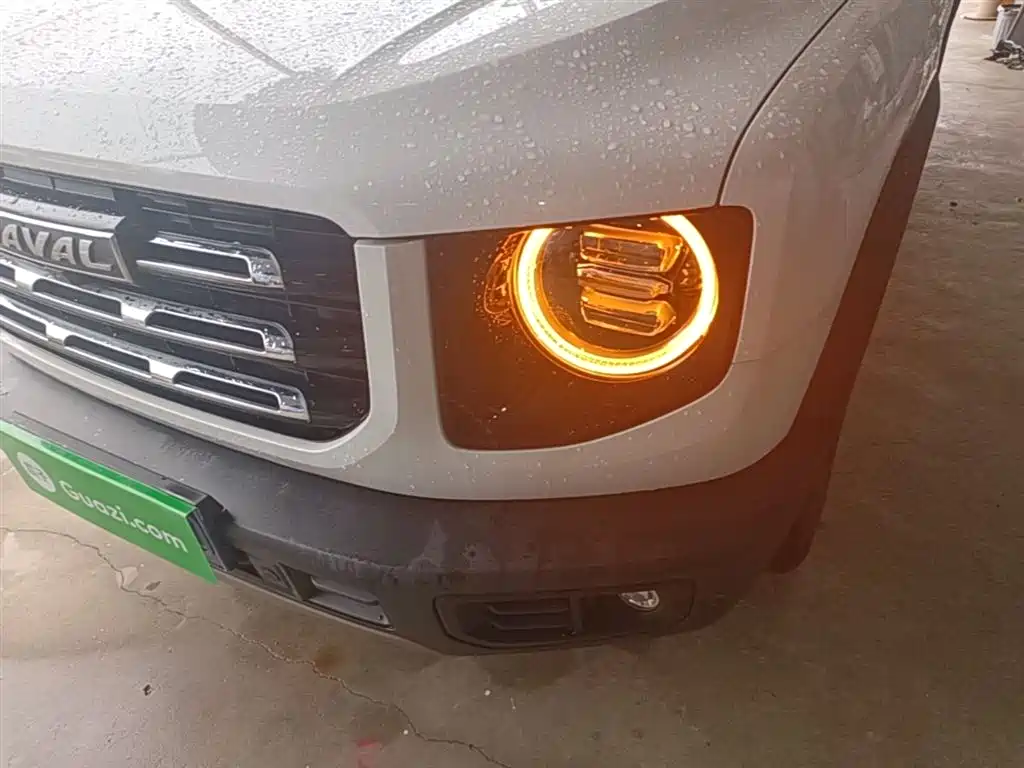 Haval Big Dog 2021 1.5T DCT 2WD Border Collie Edition фото 24