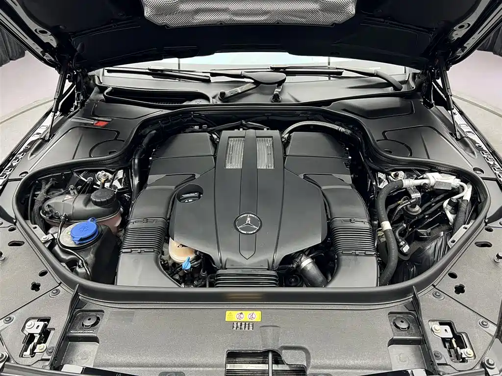 Mercedes-Benz S-Class 2020 S 350 L Premium Edition Collector's Version фото 12