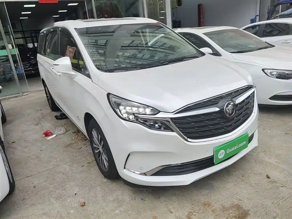 Buick GL8 2022 ES Landmark 653T Premium фото 4