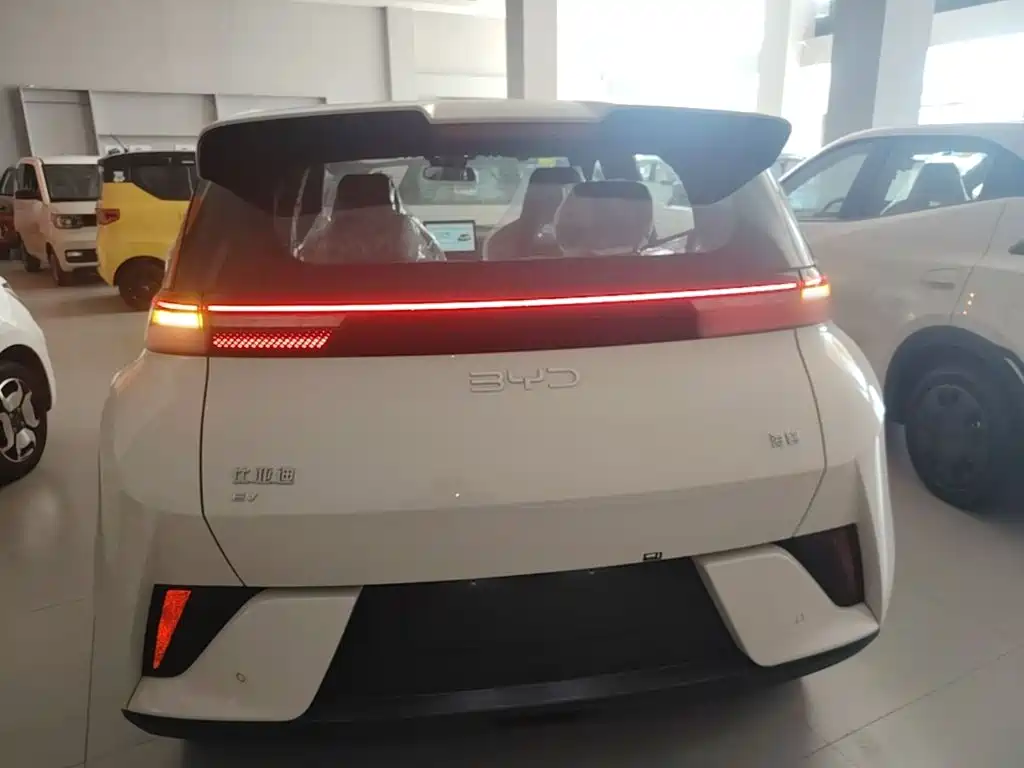 BYD Seagull 2026 2025 Smart Drive Edition 305km Vitality Version