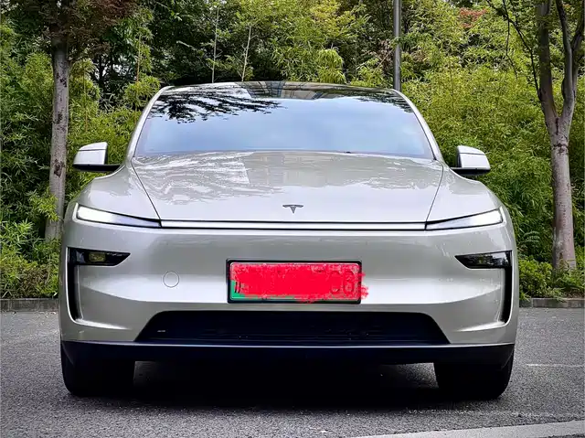 Tesla Model Y L, фото 2