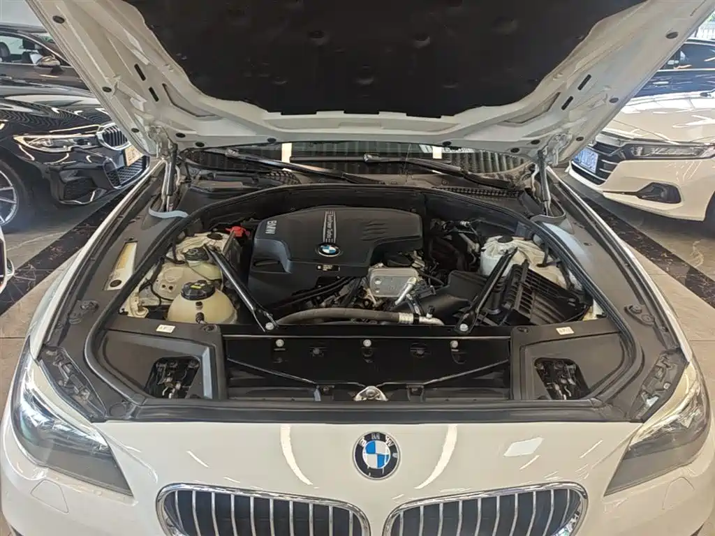 BMW 5 Series 2017 525Li Leading Edition фото 20