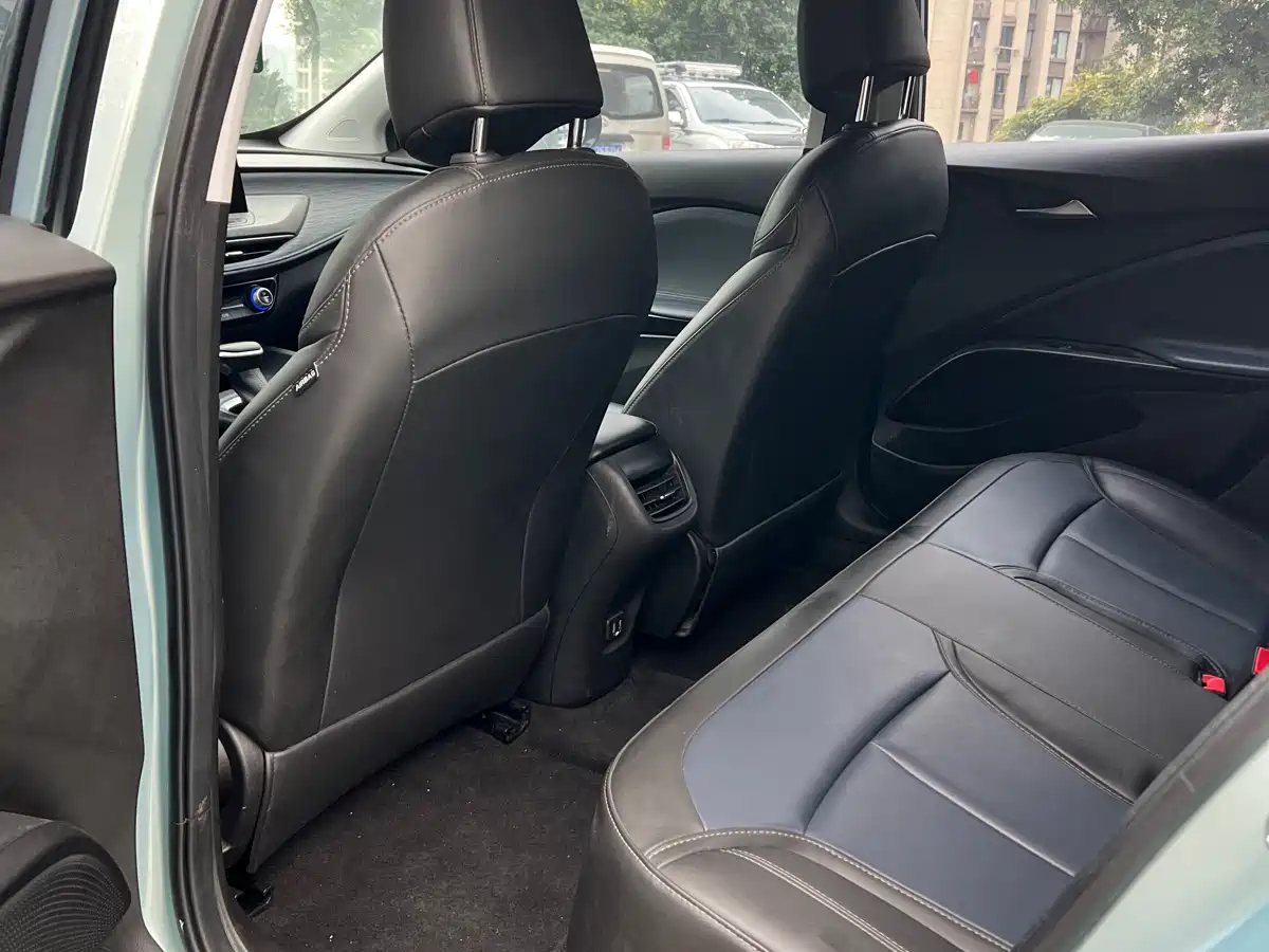 BUICK SLIGHTLY BLUE 6