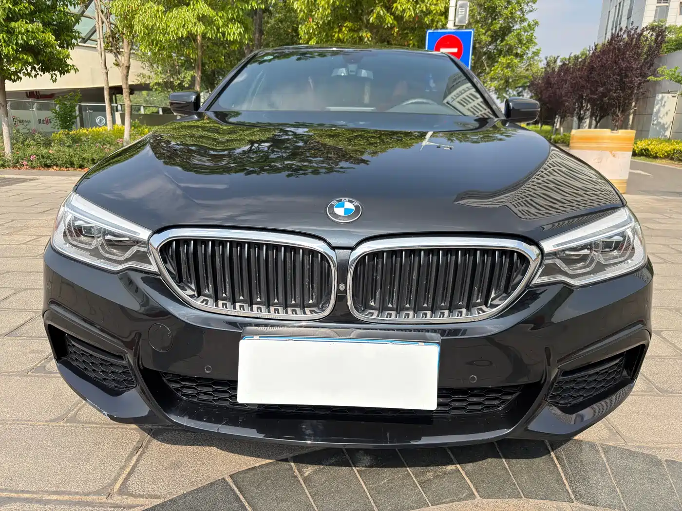 BMW 5 Series 2019 530Li Premium M Sport Package фото 12