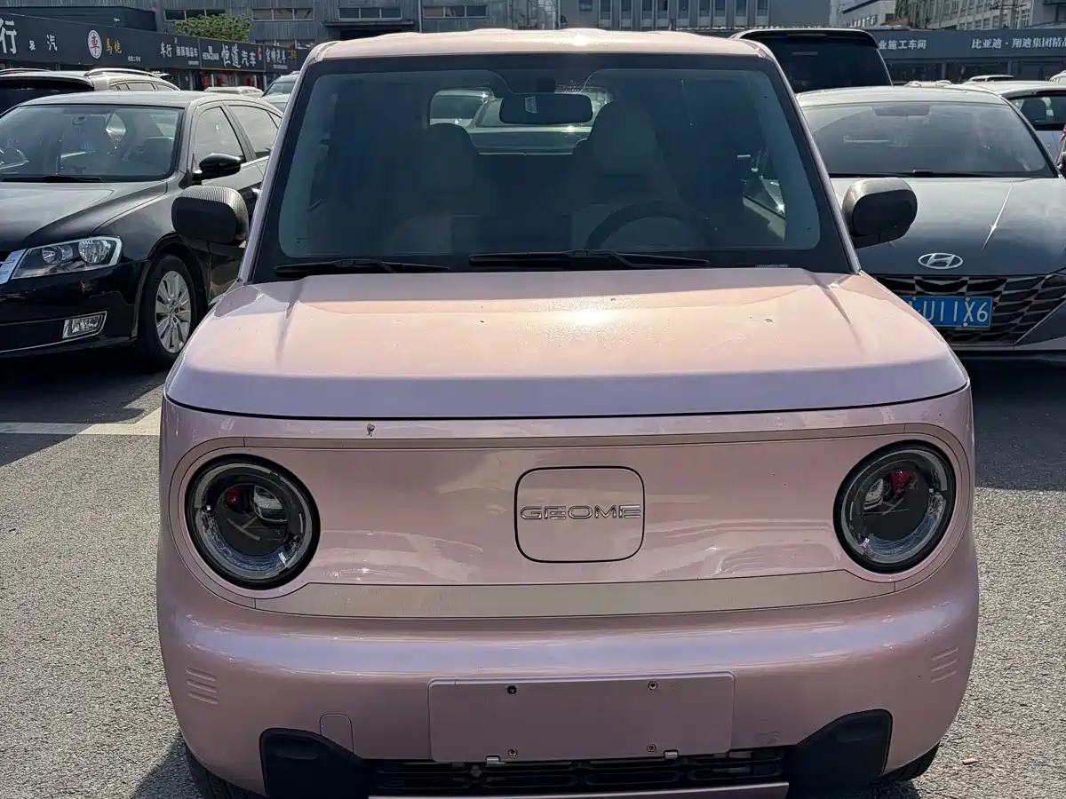 Geely Galaxy Panda 2023 Panda Mini 200km Endurance Bear фото 2