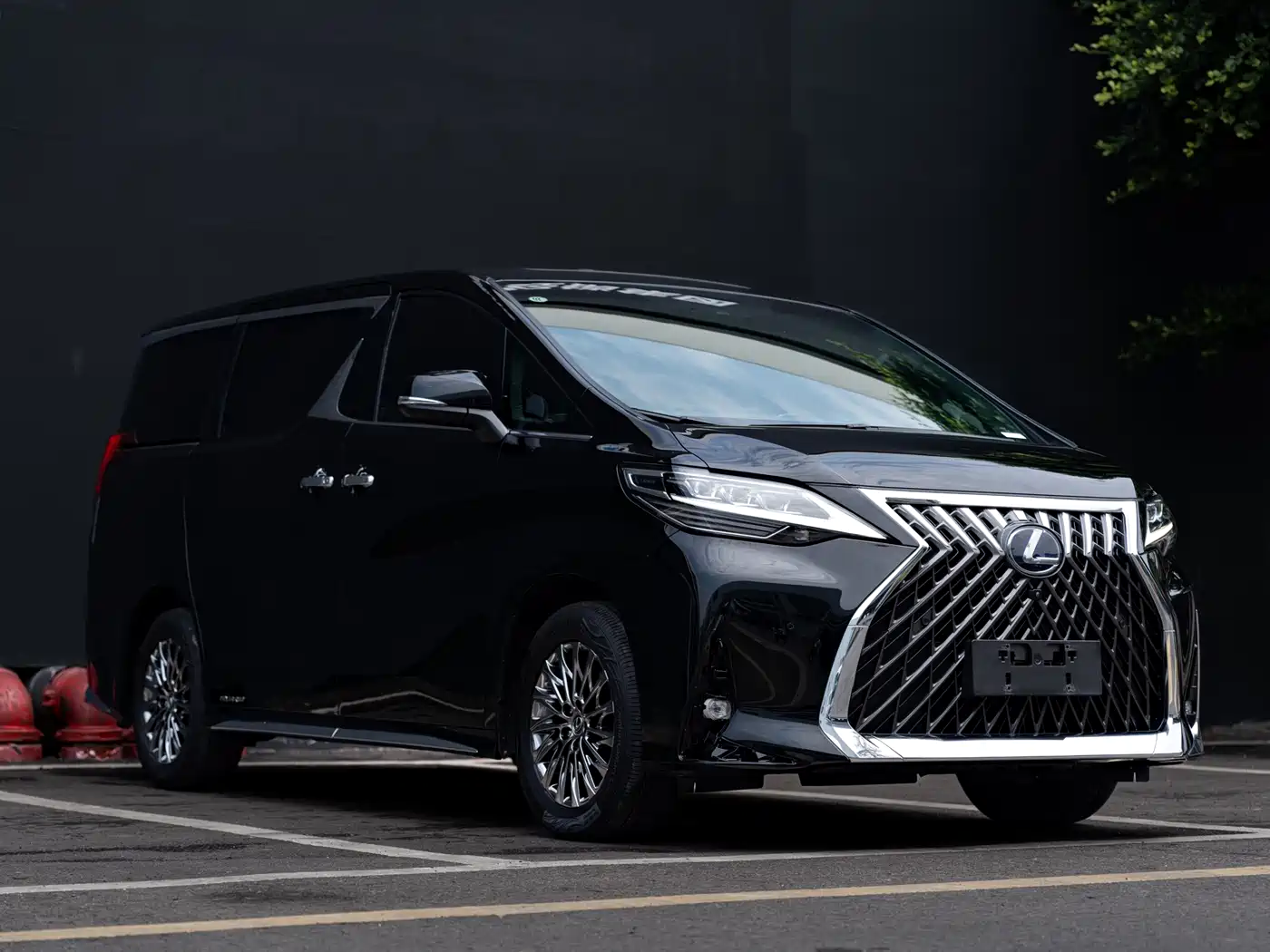 Lexus LM 2020 300h Seven-Seater Elegance Edition фото 3