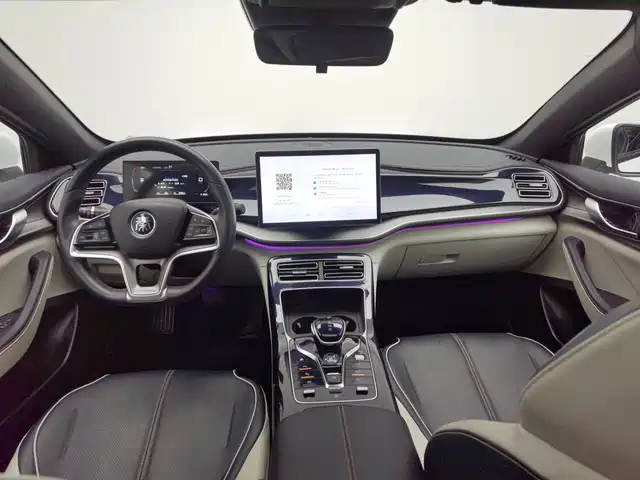 BYD Qin PLUS 2023 Champion Edition DM-i 120KM Excellence — фото 5