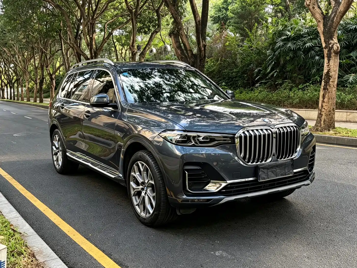 BMW X7 2019 xDrive40i Leading Luxury Package фото 3