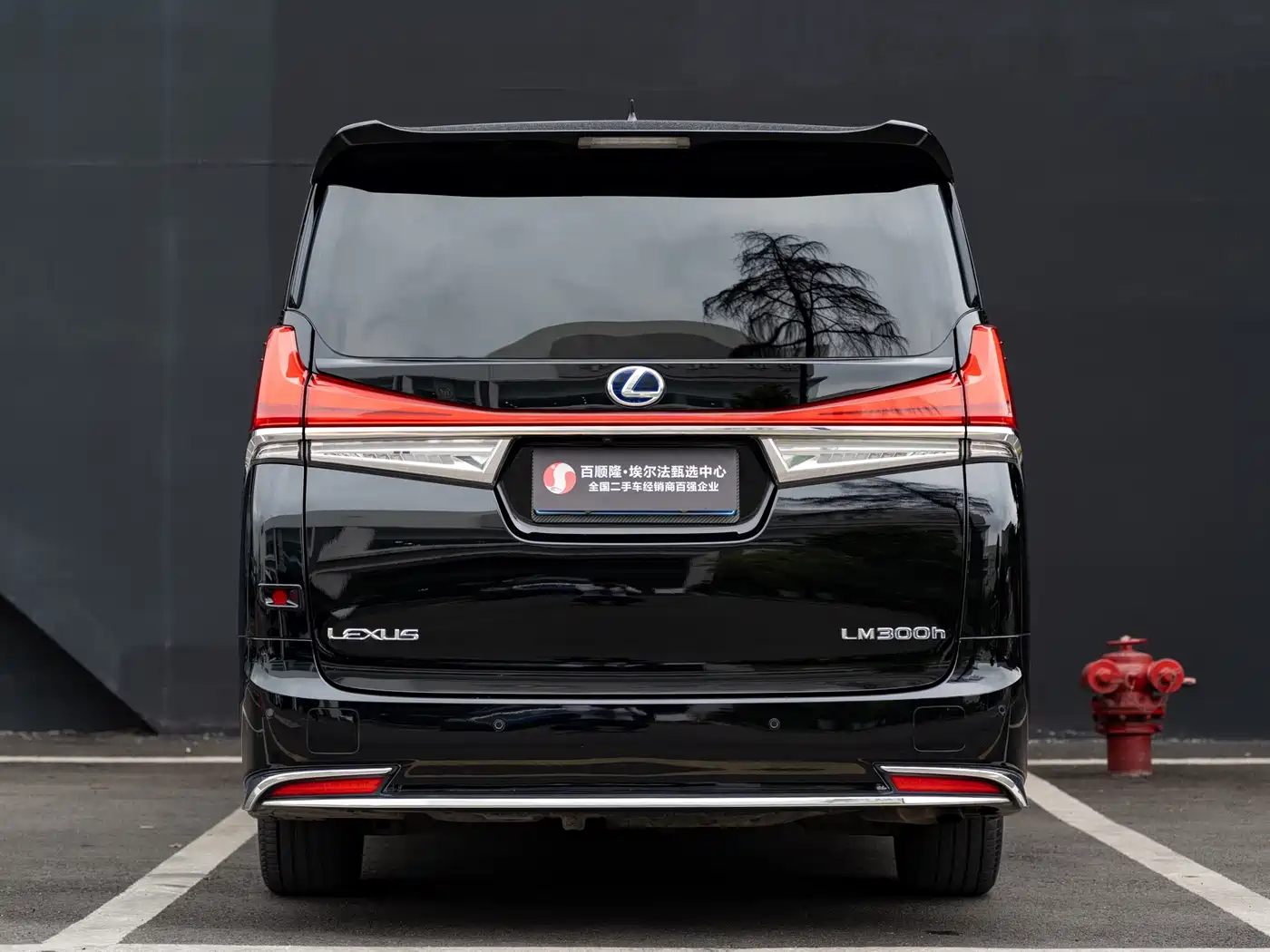 Lexus LM 2020 300h 4-Seat Imperial Edition фото 19