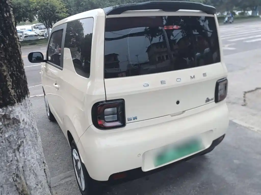 Фото 5 - Geely Galaxy Panda