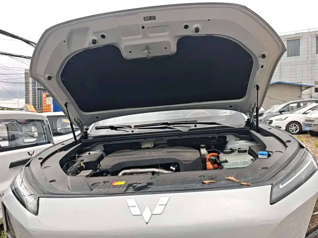 Фото 20 - Wuling Motors Wuling Xingguang S