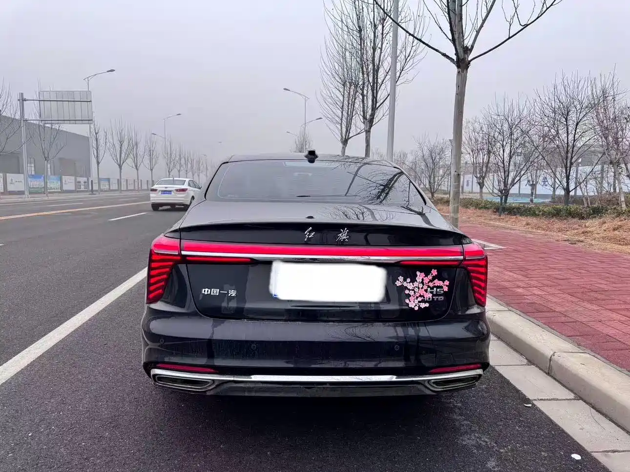 Hongqi H5 2025 2.0T Automatic Flag Celebration 500,000 Units Anniversary Edition фото 8