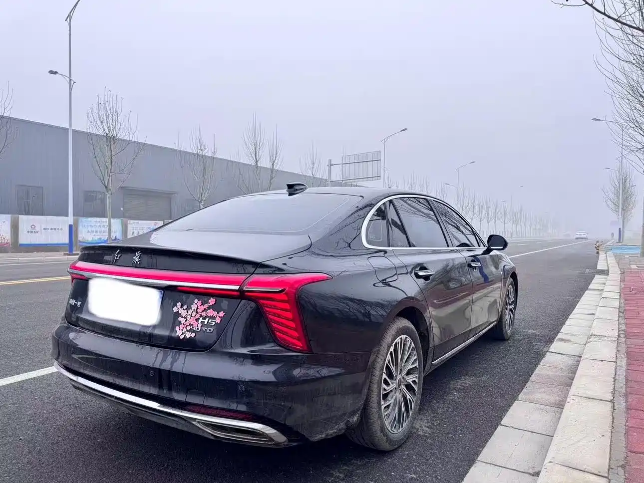 Hongqi H5 2025 2.0T Automatic Flag Celebration 500,000 Units Anniversary Edition фото 9