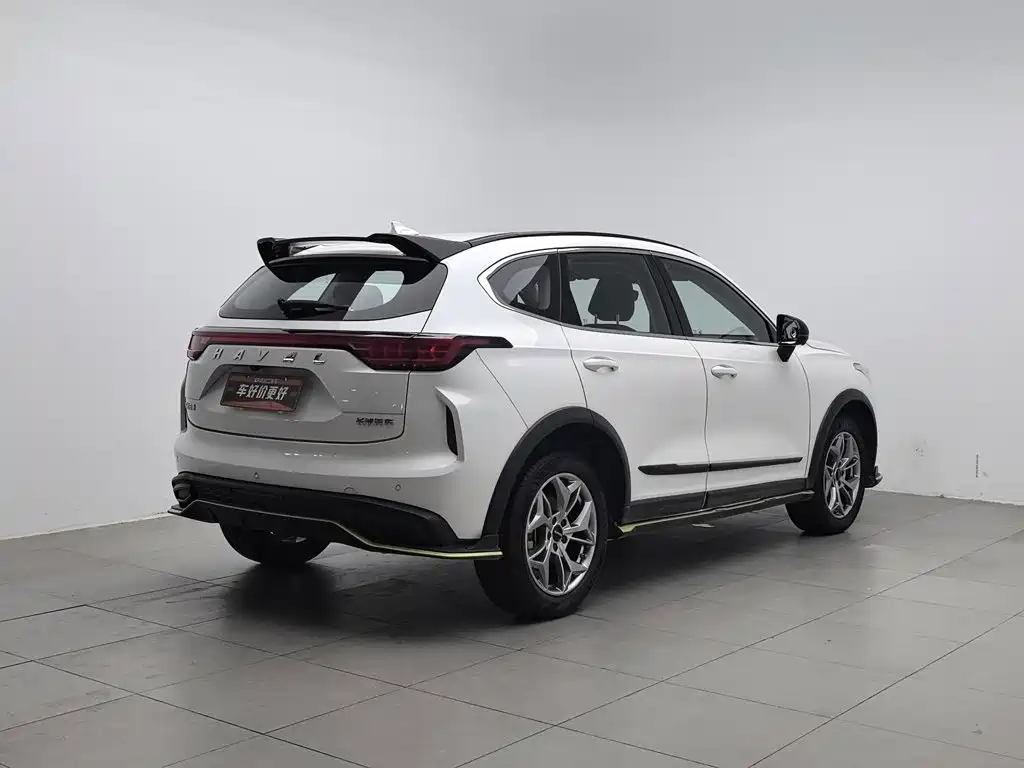 Haval Chitu 2022 2022 Power Edition 1.5T Purple Copper Rabbit
