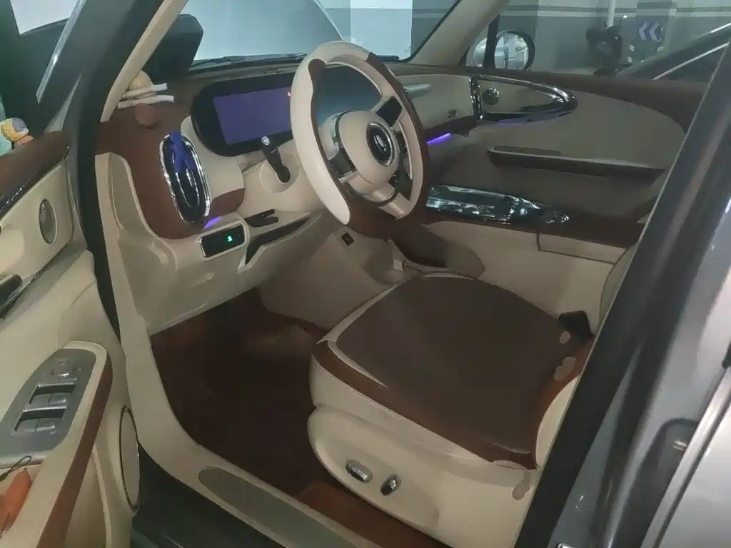 Ora Ballet Cat 2024 2023 401km Premium Model