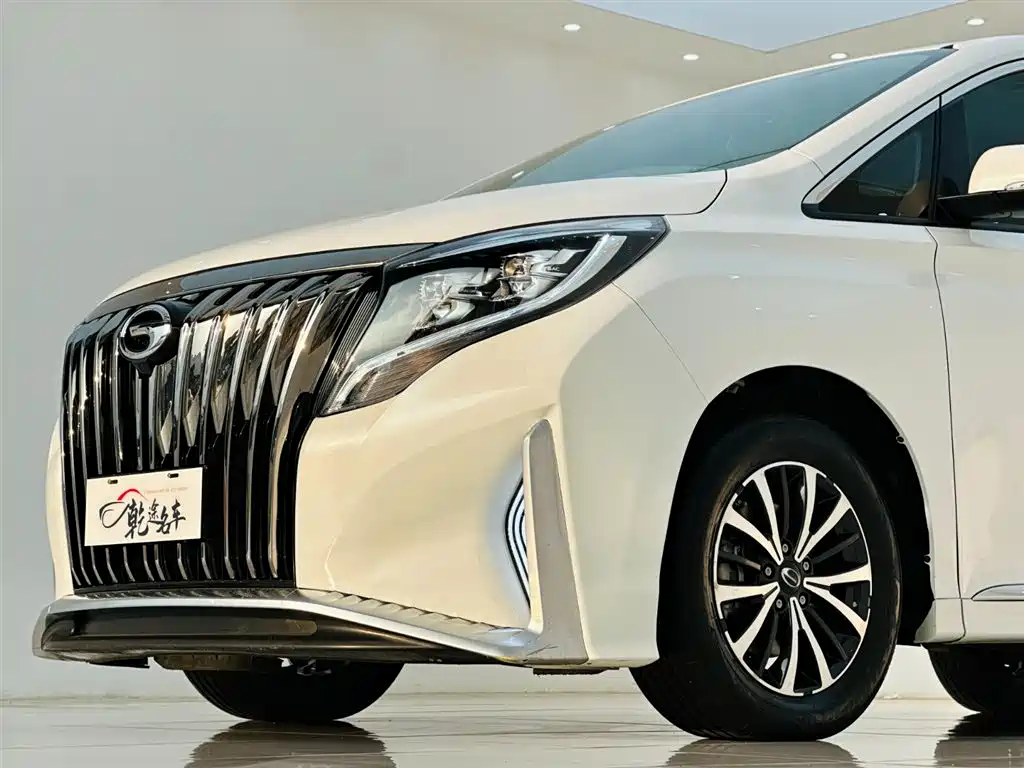GAC Trumpchi Trumpchi M8 2021 Leading Show Series 390T Premium Edition фото 8