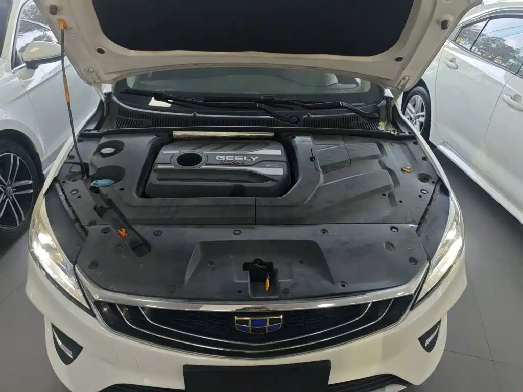 Фото 16 - Geely Binrui