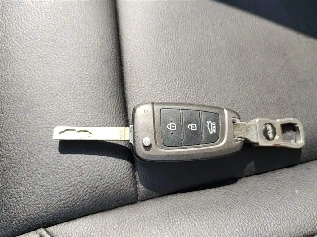 Hyundai Elantra 2018 1.6L Automatic Pleasing Edition GL China VI фото 9