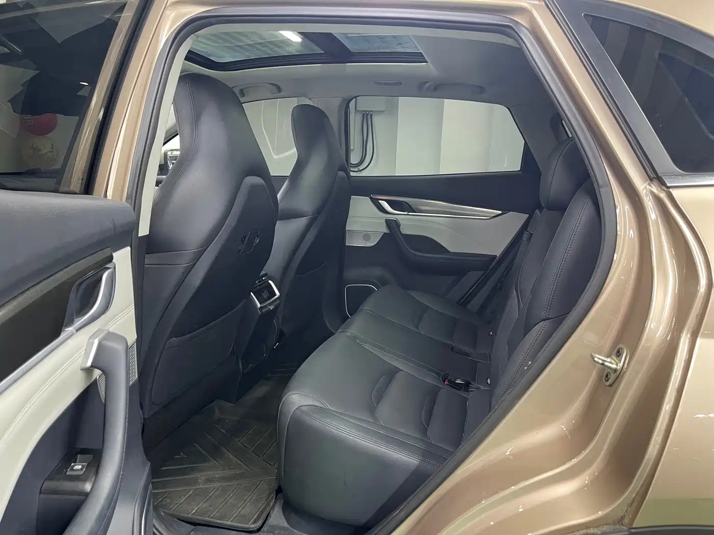 Weltmeister EX5 2020 2019 EX5 Lite Explorer Edition 520