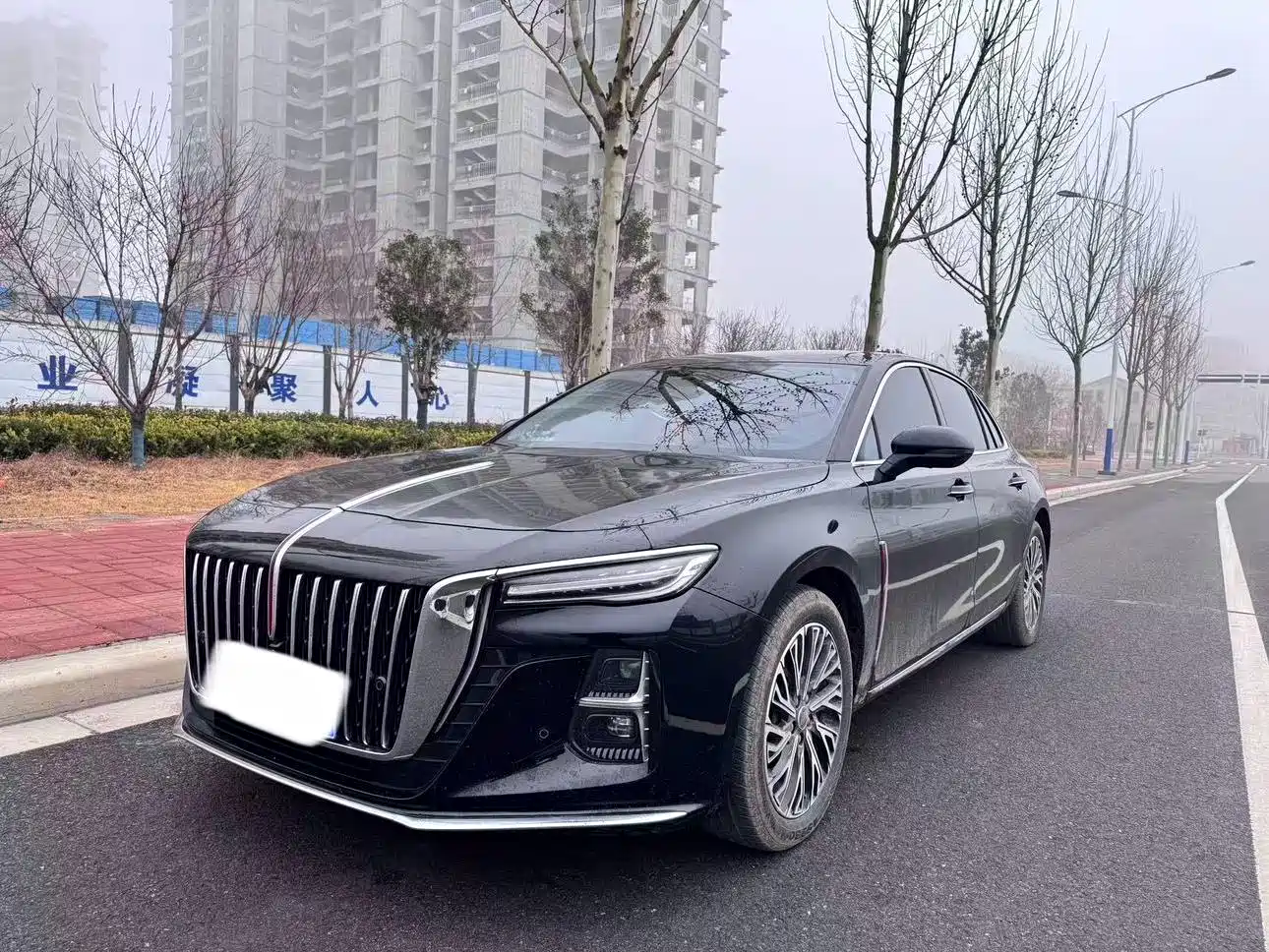 Hongqi H5 2025 2.0T Automatic Flag Celebration 500,000 Units Anniversary Edition