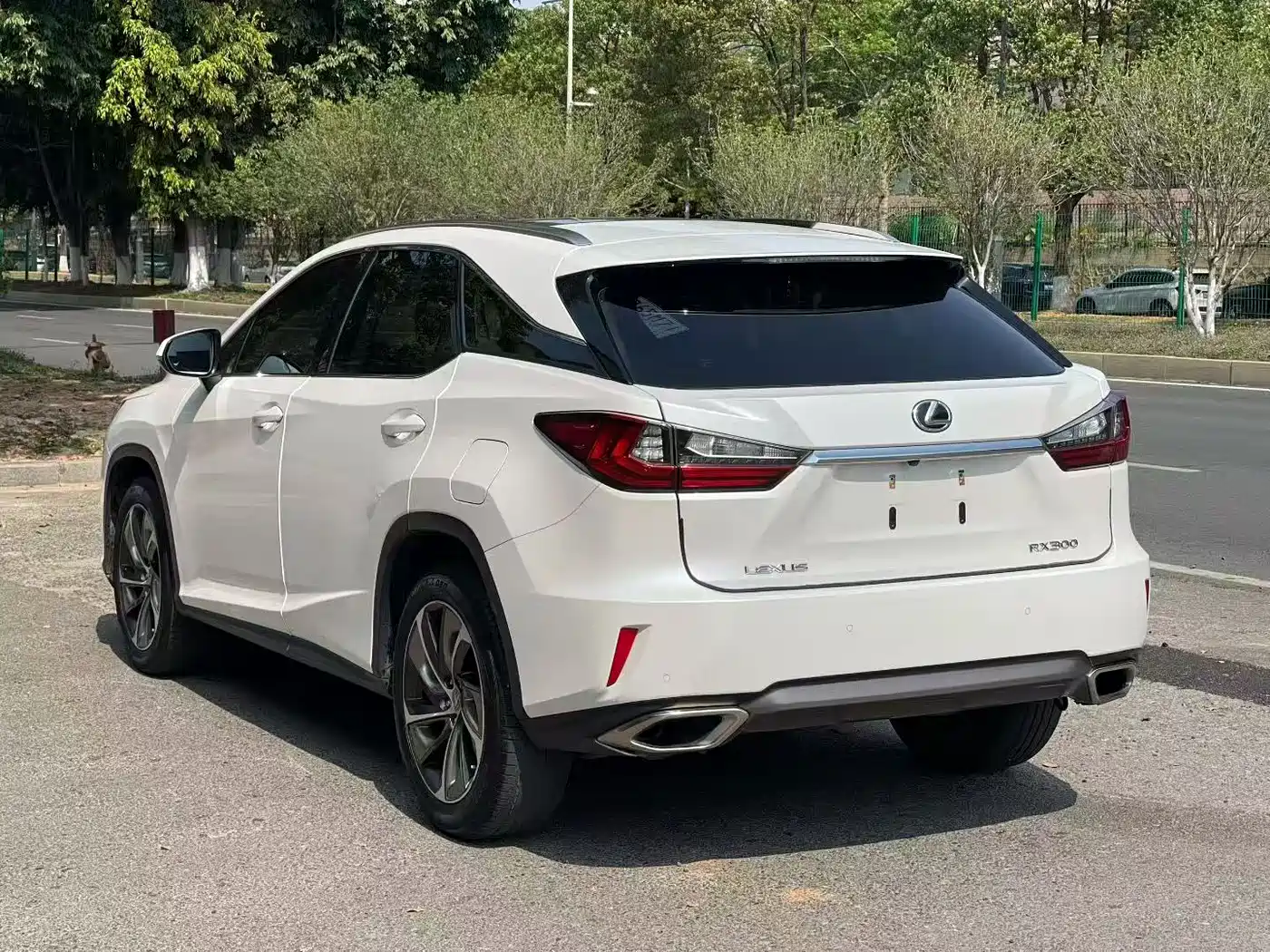LEXUS RX