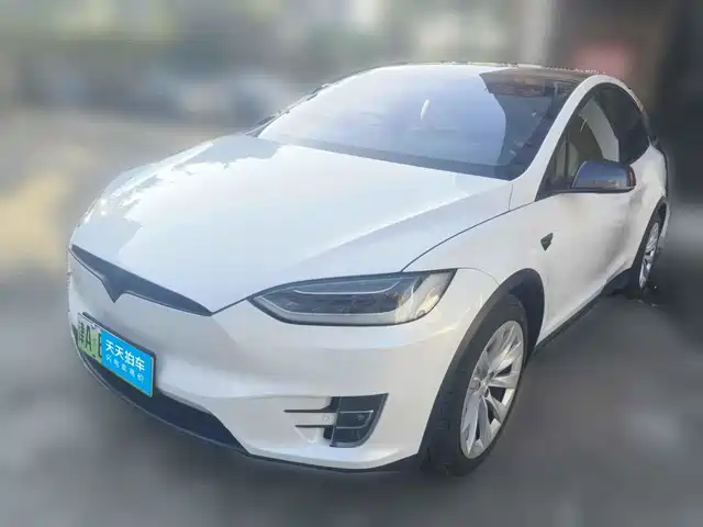 Tesla Model X 2019 Performance High-performance Version — фото 1
