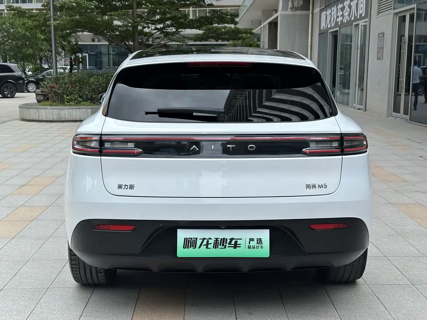 AITO Wenjie AITO M5 2022 Extended Range RWD Standard фото 12