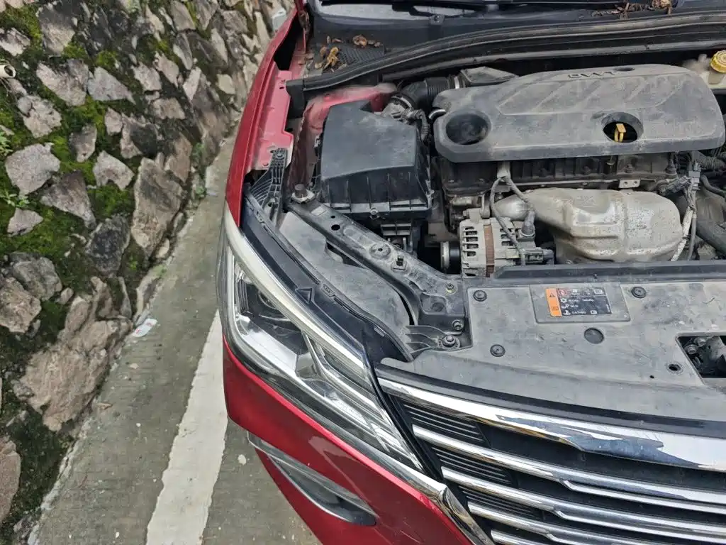 Фото 21 - Roewe i5