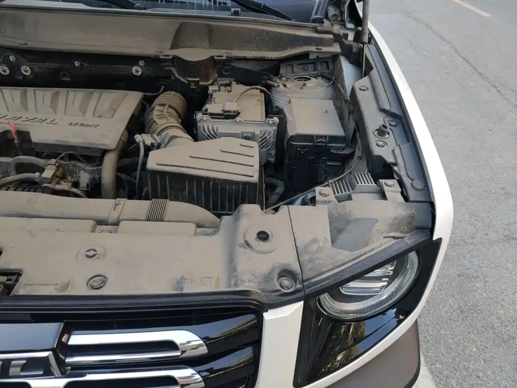 Haval Dargo 2021 2021 1.5T DCT 2WD Labrador Edition