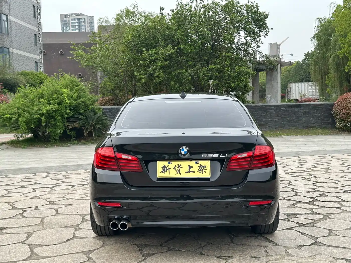 BMW 5 Series 2017 525Li Leading Edition фото 15