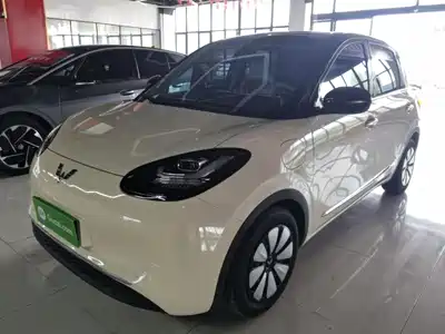 Wuling Bingo
