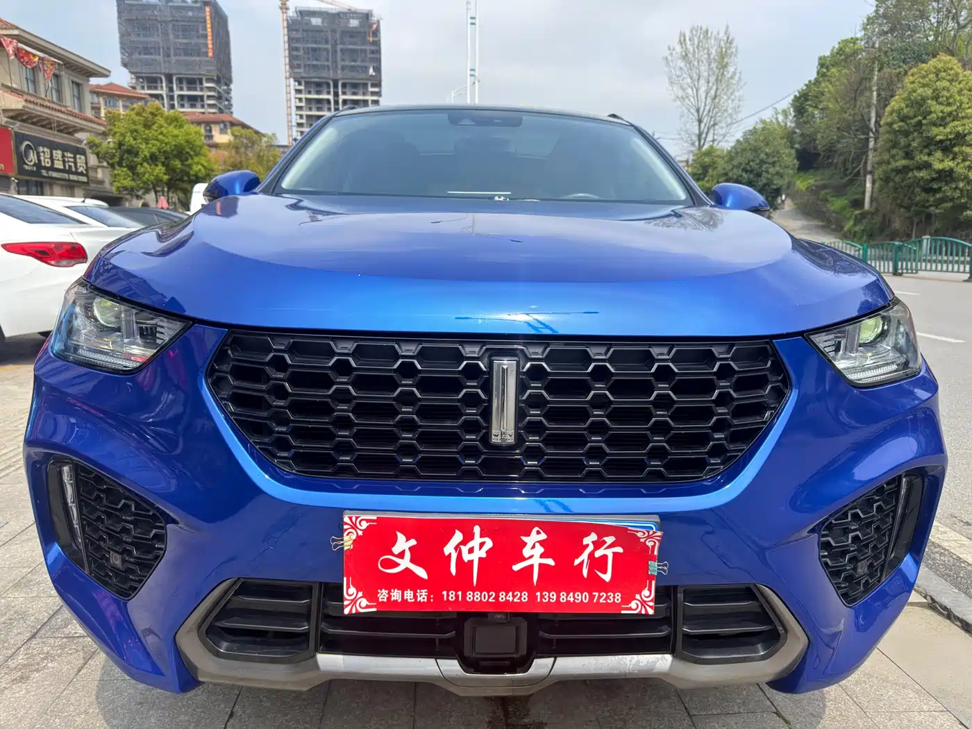 WEI PAI WEI BRAND VV5