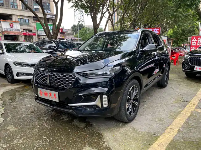 wei-pai wei-brand-vv6