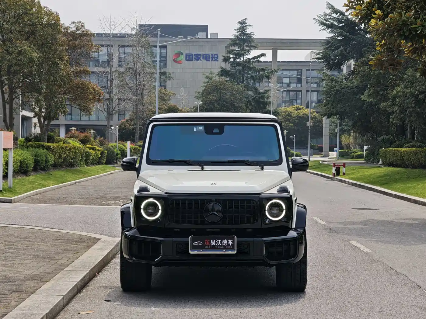 Mercedes-Benz G-Class 2020 G 500 фото 2
