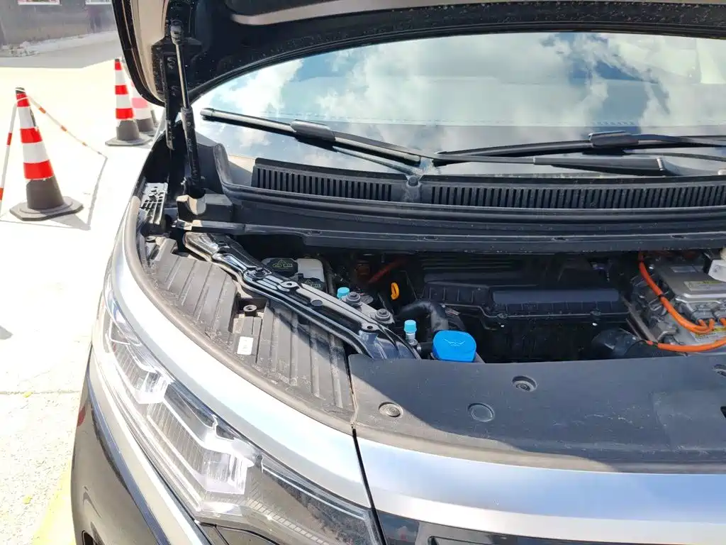 Denza D9 2026 2024 DM-i 980 AWD Premium
