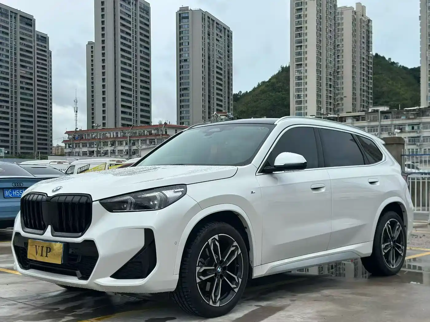 BMW X1 2024 2024 sDrive25Li X Design Package