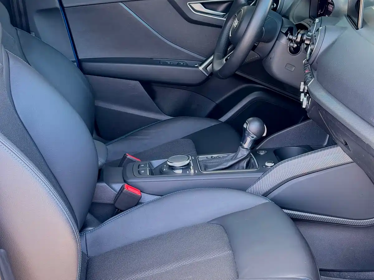 Audi Q2L e-tron 2019 Q2L e-tron Pure Electric Smart Cool Edition фото 14