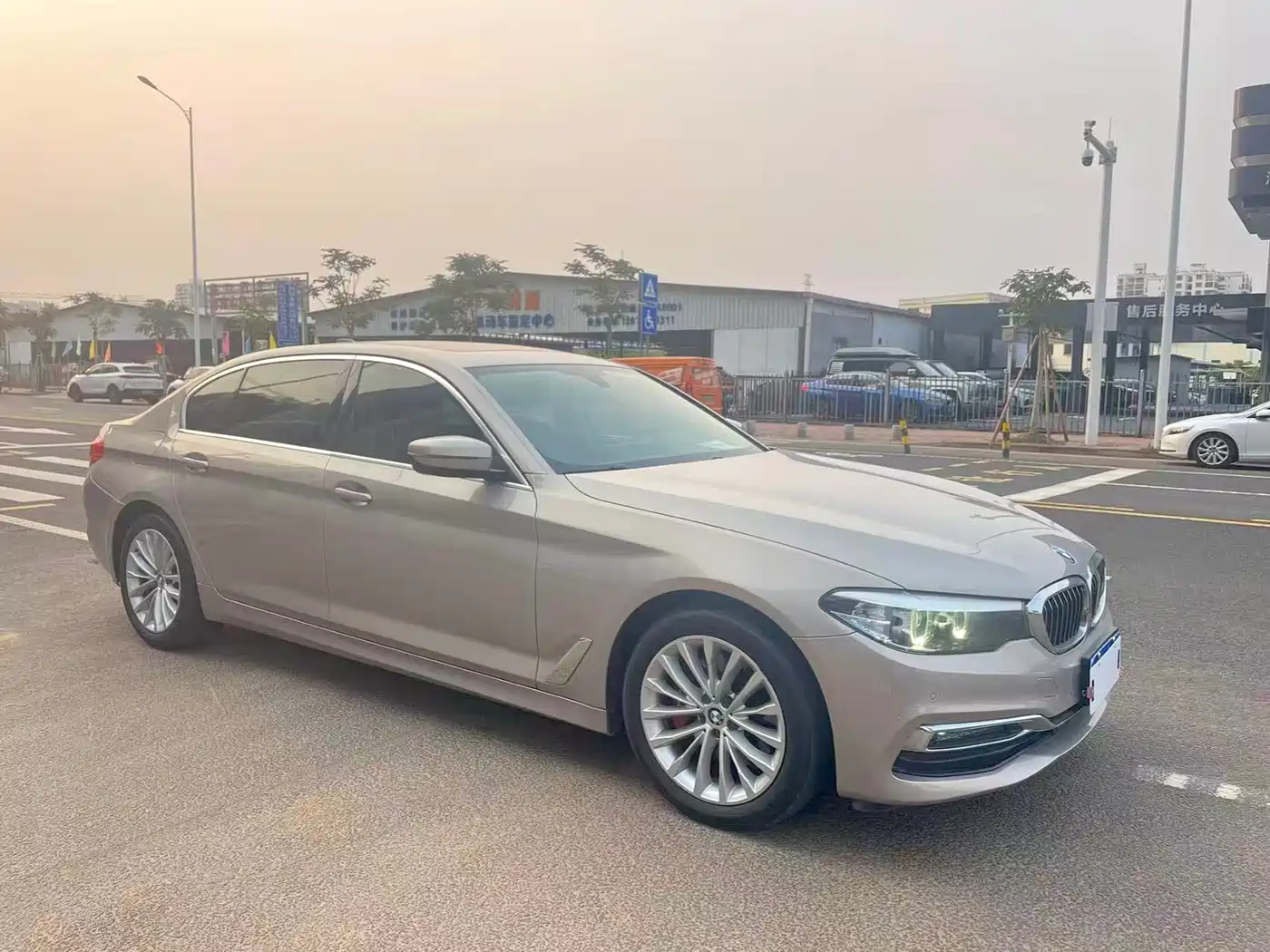BMW 5 Series 2019 530Li Leading Luxury Package